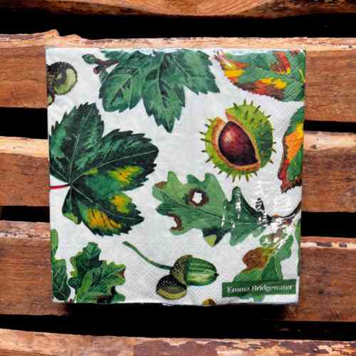 emma-bridgewater-trees-and-leaves-lunch-napkins