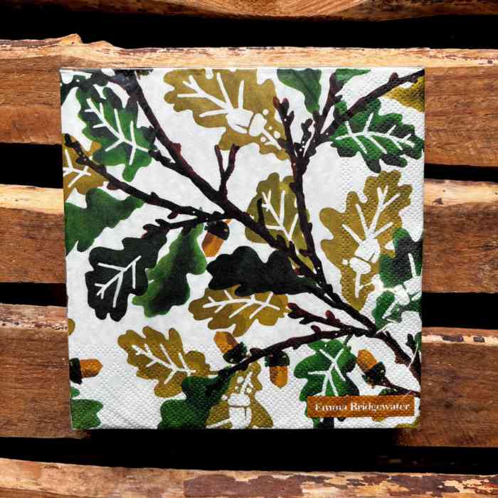 emma-bridgewater-oak-lunch-napkins