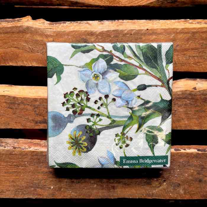 emma-bridgewater-winter-flowers-cocktail-napkins